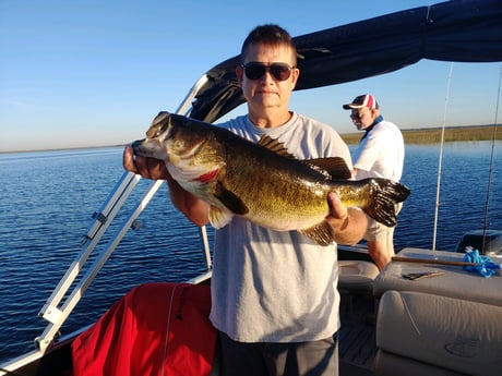 Largemouth Bass Fishing in Kissimmee, Florida
