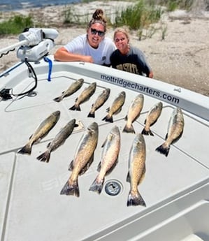 Speckled Trout / Spotted Seatrout fishing in Manteo, North Carolina