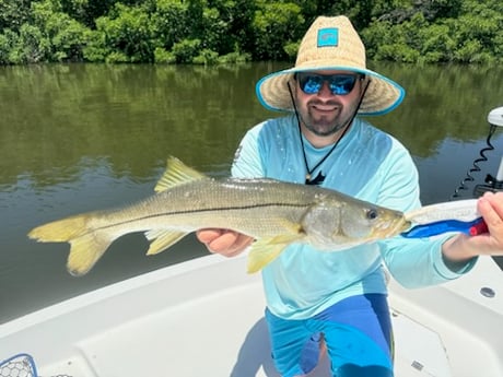 Fishing in St. Petersburg, Florida