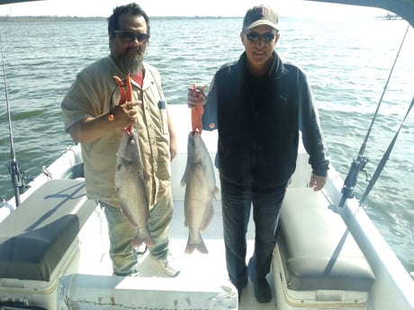 Channel Catfish Fishing in San Antonio, Texas