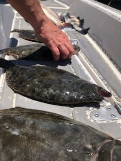 Black Drum, Flounder Fishing in Johns Island, South Carolina