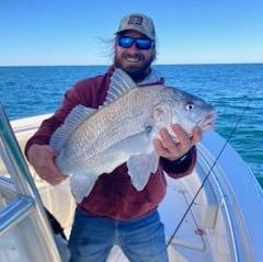 Black Drum Fishing in Charleston, South Carolina