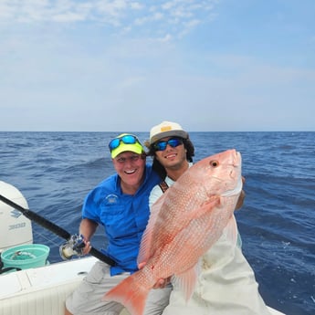 Red Snapper Fishing in St. Petersburg, Florida
