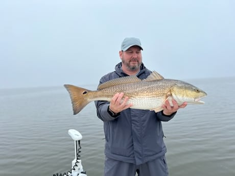 Redfish Fishing in Saint Bernard, Louisiana