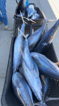 Fishing in Buras, Louisiana
