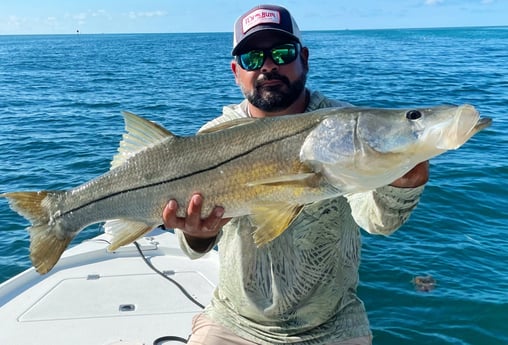 Snook fishing in Tavernier, Florida