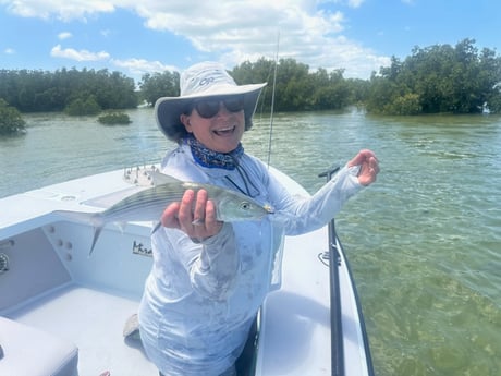 Fishing in Big Pine Key, Florida