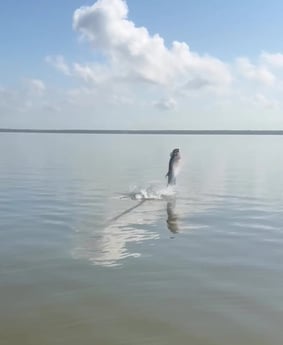 Fishing in Marco Island, Florida