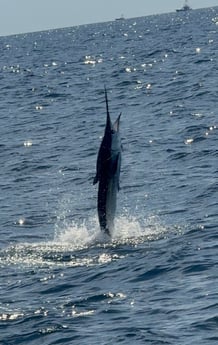 Fishing in Ocean City, Maryland