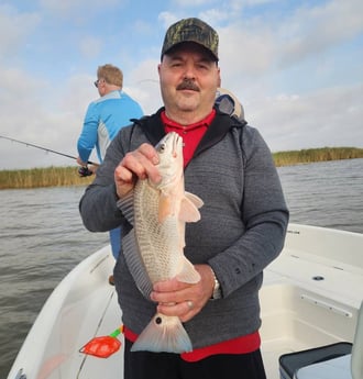 Redfish Fishing in Boothville-Venice, Louisiana