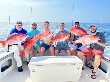 Red Snapper Fishing in Biloxi, Mississippi