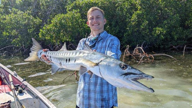 Barracuda fishing in Summerland Key, Florida