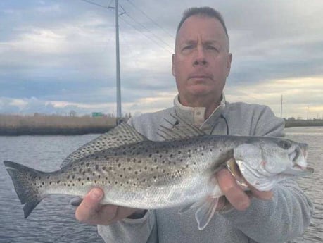 Speckled Trout / Spotted Seatrout Fishing in Trails End Road, Wilmington, N, North Carolina