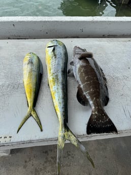 Fishing in Cape Coral, Florida