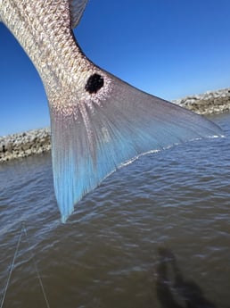 Fishing in Lake Charles, Louisiana