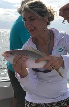 Fishing in Islamorada, Florida