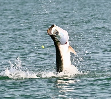 Fishing in Boca Grande, Florida