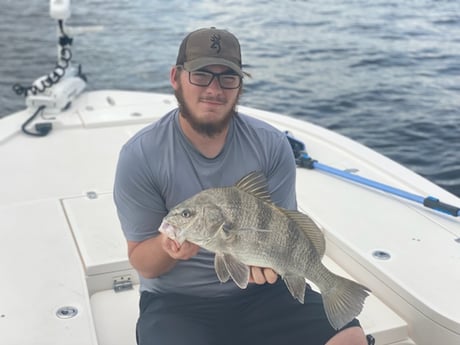 Black Drum fishing in Jacksonville Beach, Florida