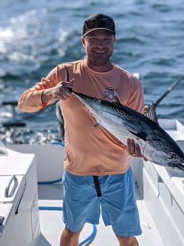 Little Tunny / False Albacore fishing in Whitney, Texas
