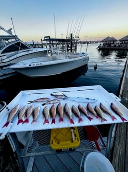 Fishing in Key West, Florida