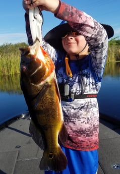 Peacock Bass fishing in Fort Lauderdale, Florida