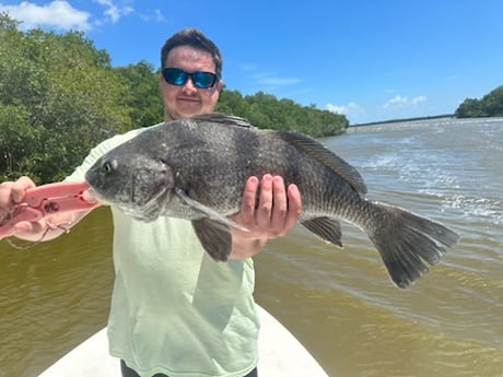 Black Drum Fishing in Miami, Florida