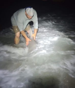 Lemon Shark Fishing in Fort Lauderdale, Florida
