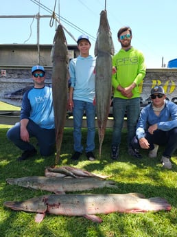 Alligator Gar Fishing in Livingston, Texas