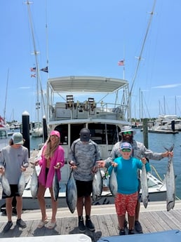 False Albacore, Kingfish Fishing in West Palm Beach, Florida