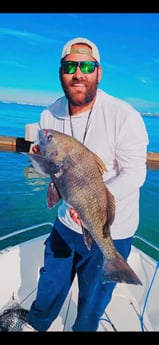 Fishing in Sarasota, Florida