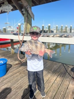 Fishing in Orange Beach, Alabama