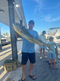 Mahi Mahi Fishing in Key West, Florida