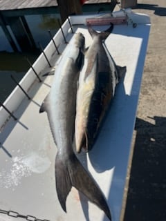 Fishing in Gulfport, Mississippi