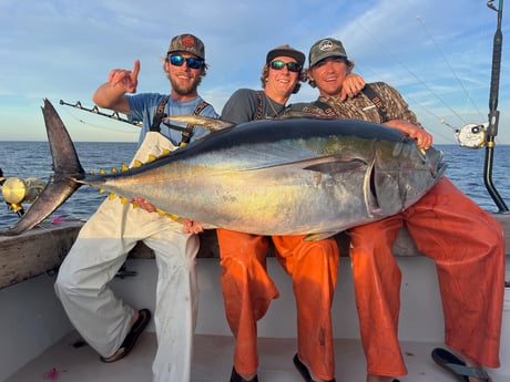 Yellowfin Tuna Fishing in Destin, Florida