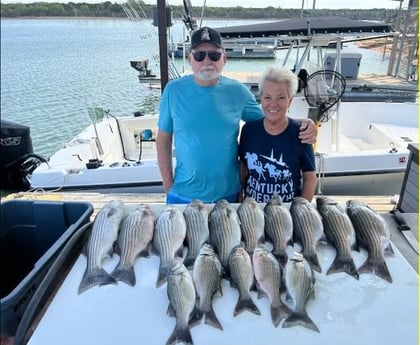 Striped Bass fishing in Burnet, Texas