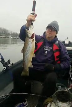 Brown Trout Fishing in Verona Beach, New York