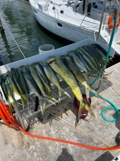 Fishing in Key West, Florida