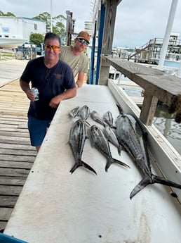 Fishing in Orange Beach, Alabama