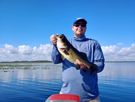 Largemouth Bass Fishing in Kissimmee, Florida