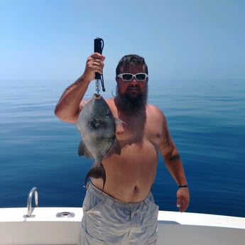 Triggerfish Fishing in Destin, Florida