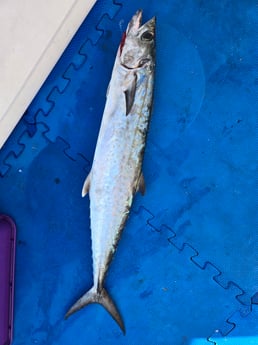 Fishing in Destin, Florida