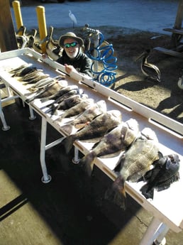 Fishing in Jacksonville, Florida