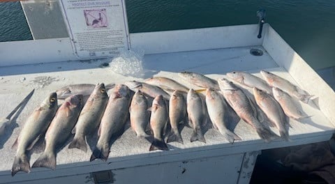 Fishing in Key West, Florida