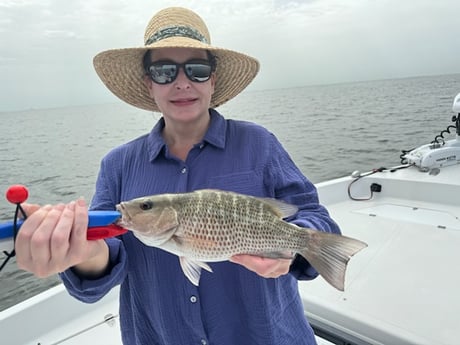 Fishing in St. Petersburg, Florida