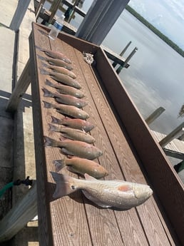 Fishing in Loxahatchee, Florida