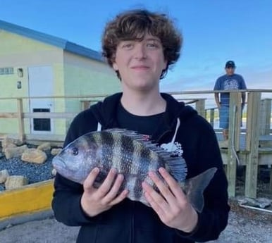Sheepshead Fishing in Port Orange, Florida