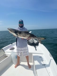 Fishing in Yankeetown, Florida