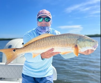 Redfish fishing in Placida, Florida