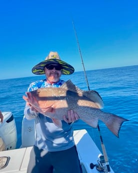 Fishing in Sarasota, Florida