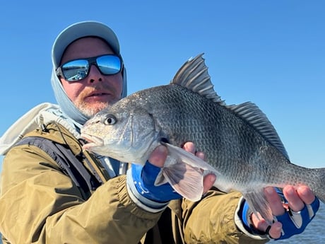 Fishing in New Orleans, Louisiana